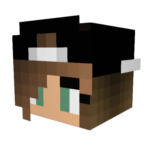 suusiii_ Minecraft avatar head, 3D render