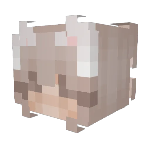 suyan1 Minecraft avatar head, 3D render
