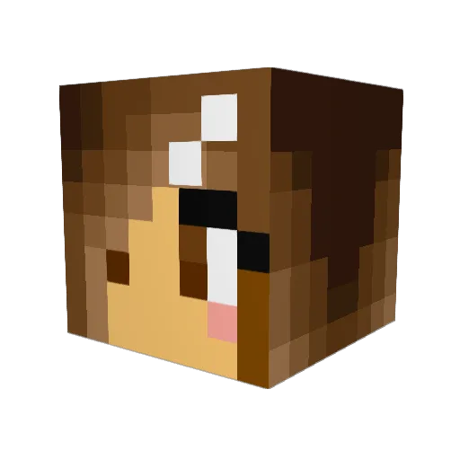 suz658 Minecraft avatar head, 3D render