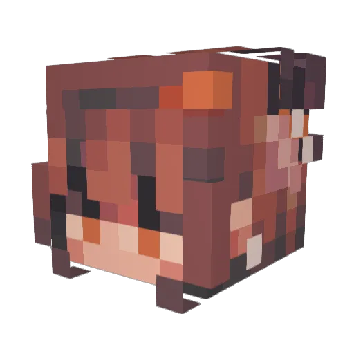 suzywoo2 Minecraft avatar head, 3D render