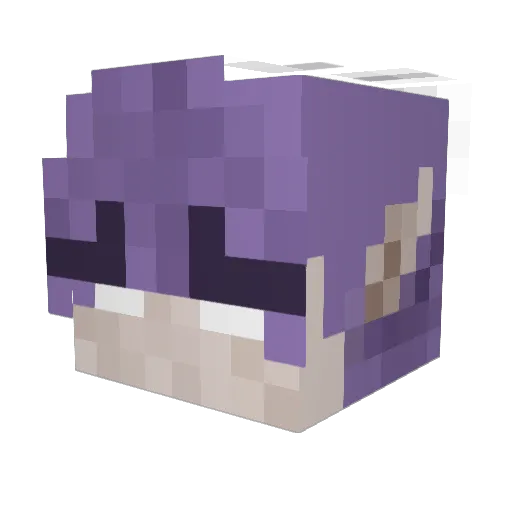suzzka Minecraft avatar head, 3D render