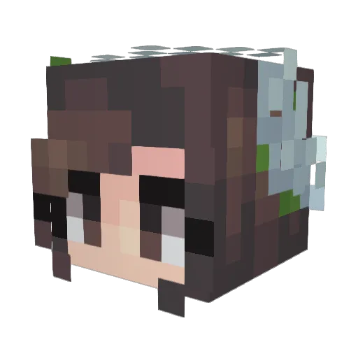 sven929 Minecraft avatar head, 3D render