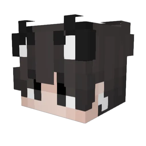 sven_sgt Minecraft avatar head, 3D render