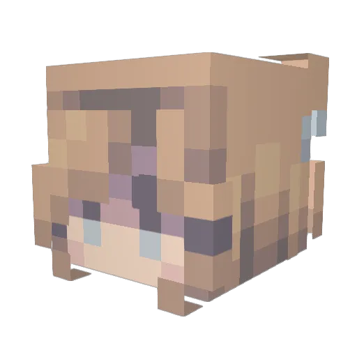 svis Minecraft avatar head, 3D render