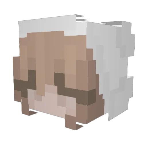 svnflxwer Minecraft avatar head, 3D render