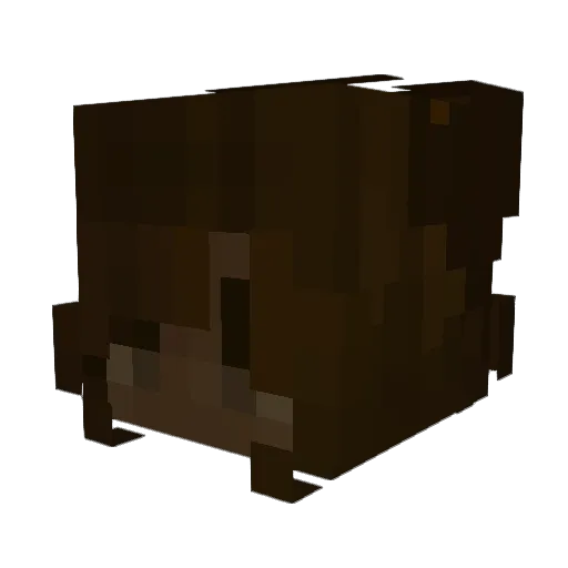svnwillow Minecraft avatar head, 3D render