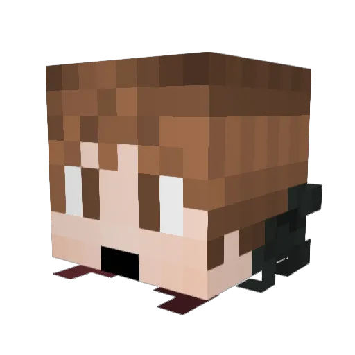 svtWalker Minecraft avatar head, 3D render