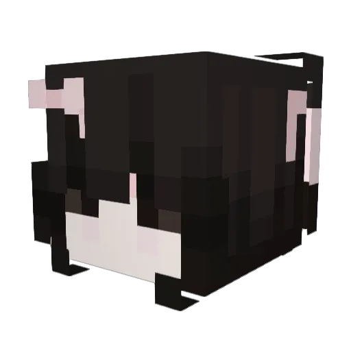 svxu Minecraft avatar head, 3D render