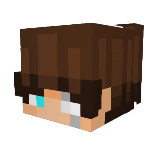 sw0rdmas73r Minecraft avatar head, 3D render