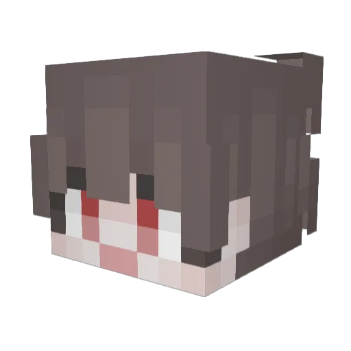 sw1006 Minecraft avatar head, 3D render