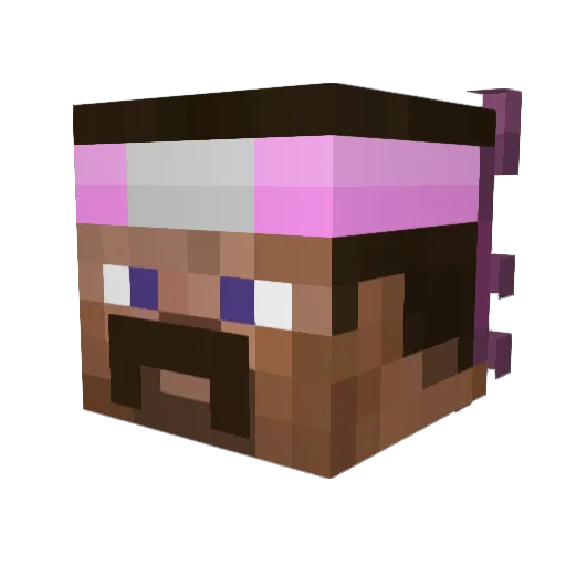 sw1dr Minecraft avatar head, 3D render