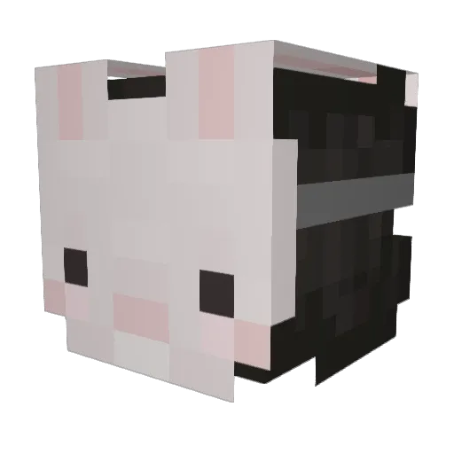 sw3rvy_ Minecraft avatar head, 3D render