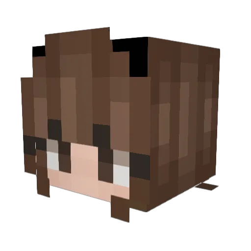 sw4gkitti Minecraft avatar head, 3D render