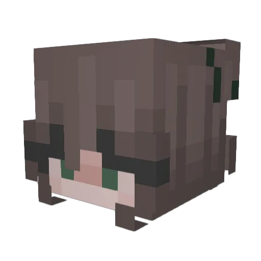 sw4glicious Minecraft avatar head, 3D render
