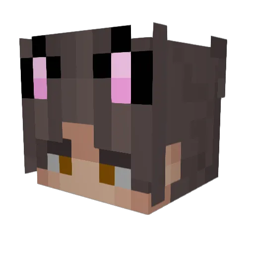 sw4gmast3r Minecraft avatar head, 3D render