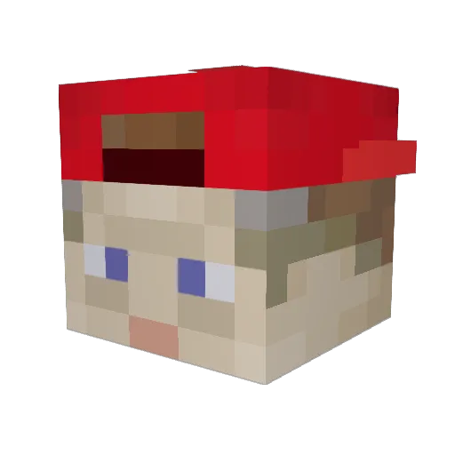 sw4nkytiger67 Minecraft avatar head, 3D render