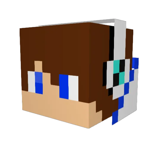 swag_dk123 Minecraft avatar head, 3D render