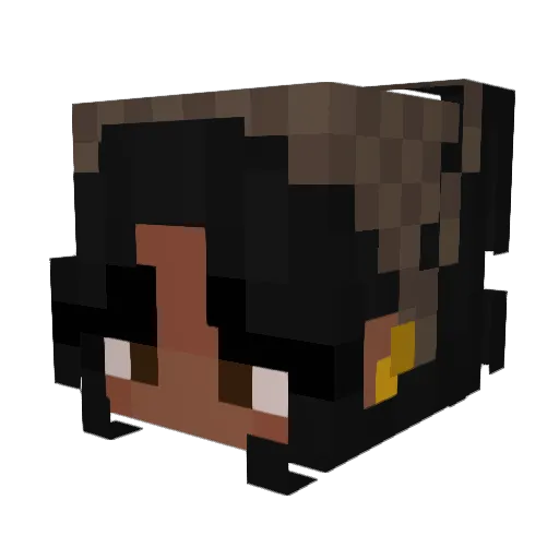 swag_master24 Minecraft avatar head, 3D render