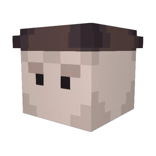 swag_meal Minecraft avatar head, 3D render