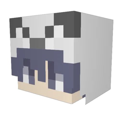 swagcat0_0 Minecraft avatar head, 3D render