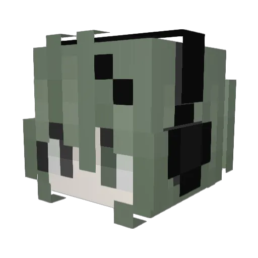 swagcat43 Minecraft avatar head, 3D render