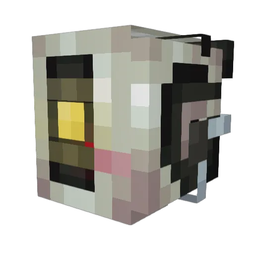swagdrag3000 Minecraft avatar head, 3D render