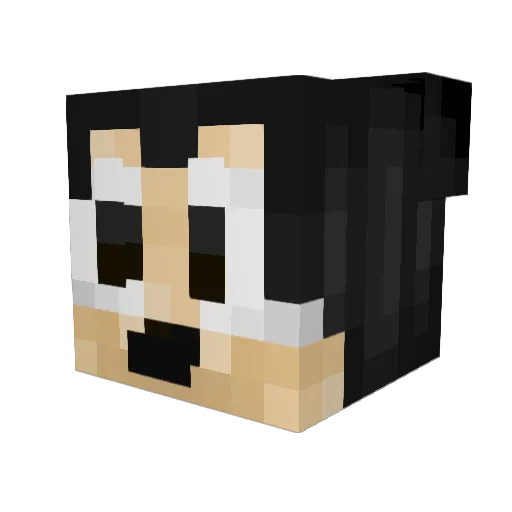 swagfinger Minecraft avatar head, 3D render