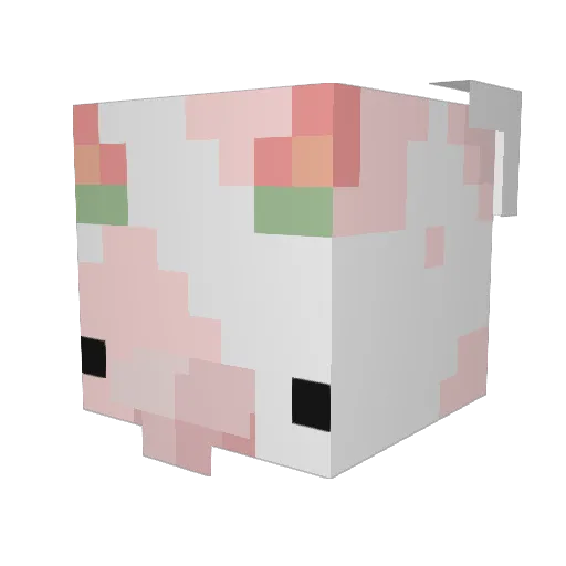swaggatron420 Minecraft avatar head, 3D render