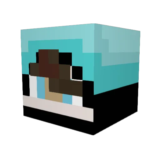 swaggerboy12 Minecraft avatar head, 3D render