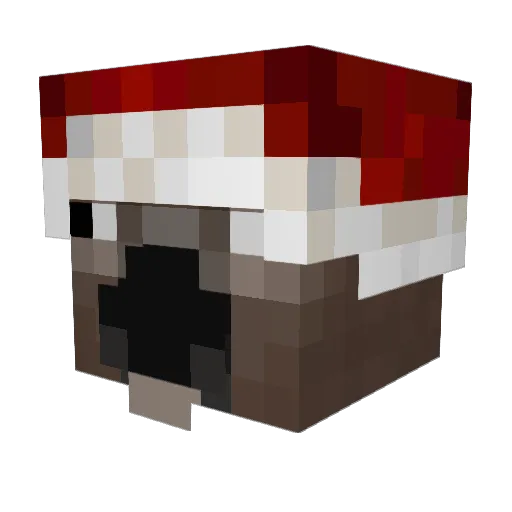 swaggerpower42 Minecraft avatar head, 3D render