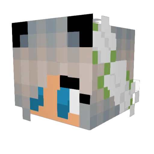 swaggirl07 Minecraft avatar head, 3D render