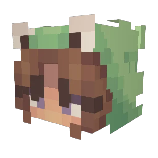 swaggmoney11 Minecraft avatar head, 3D render