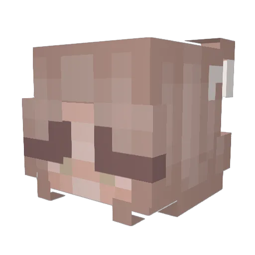 swaggylee Minecraft avatar head, 3D render