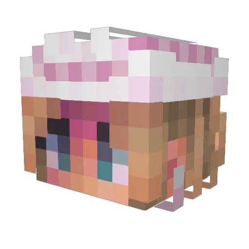 swaggysqueegee Minecraft avatar head, 3D render