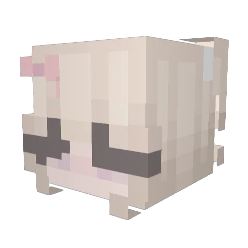 swaghailee Minecraft avatar head, 3D render