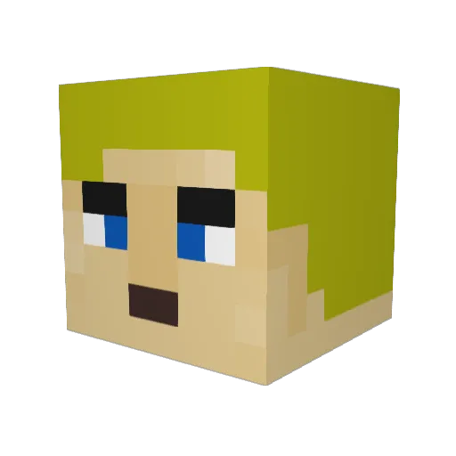 swaginatorAF Minecraft avatar head, 3D render