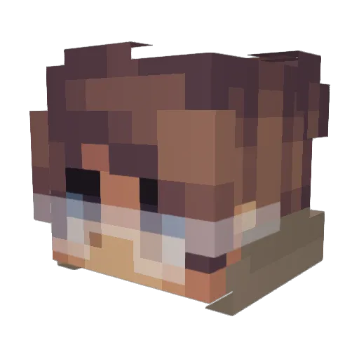 swagkiller666WW Minecraft avatar head, 3D render