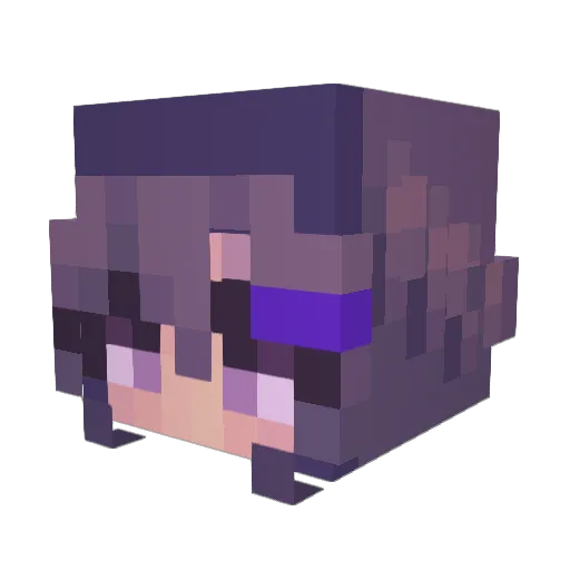 swagmaster69uwu Minecraft avatar head, 3D render
