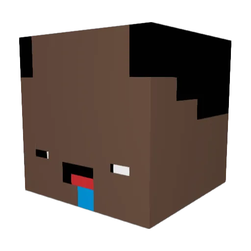 swagmaster9462 Minecraft avatar head, 3D render