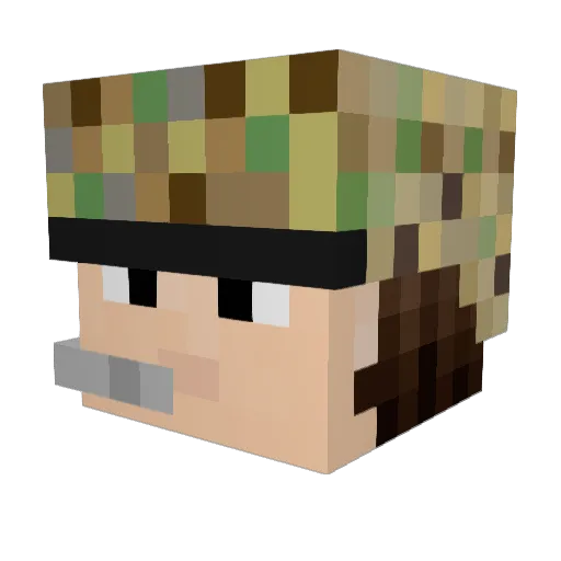 swagmeat20 Minecraft avatar head, 3D render
