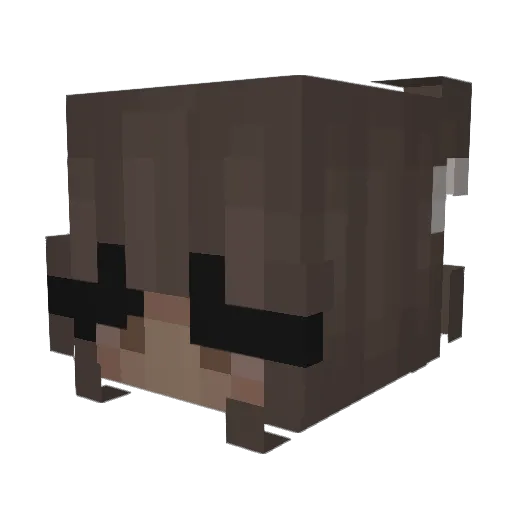 swagmeister4 Minecraft avatar head, 3D render