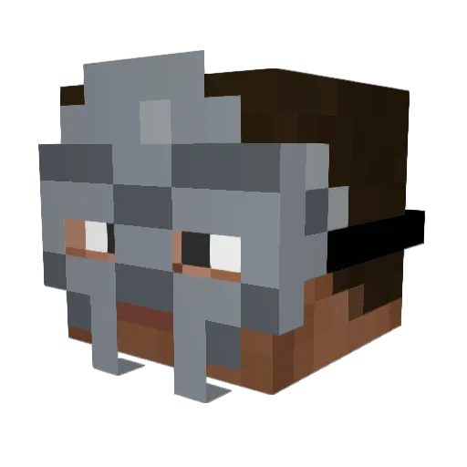 swagminer420 Minecraft avatar head, 3D render