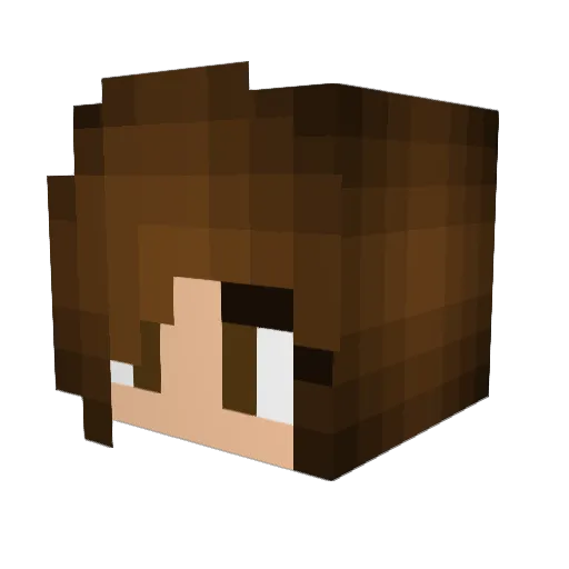 swagner4eva Minecraft avatar head, 3D render