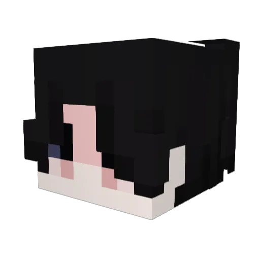 swagpunch9k Minecraft avatar head, 3D render