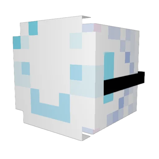 swagrz Minecraft avatar head, 3D render