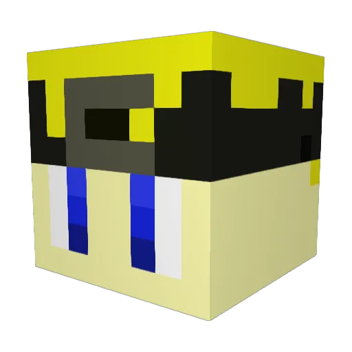 swagsnipex Minecraft avatar head, 3D render