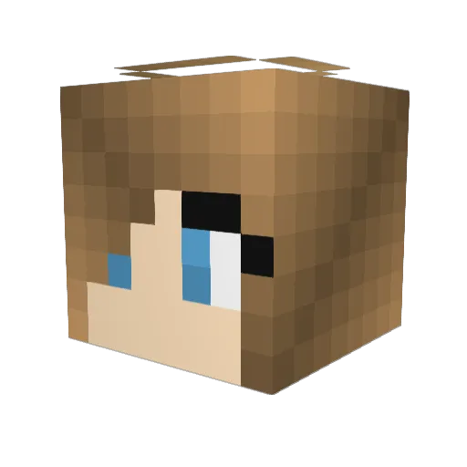 swagsword Minecraft avatar head, 3D render