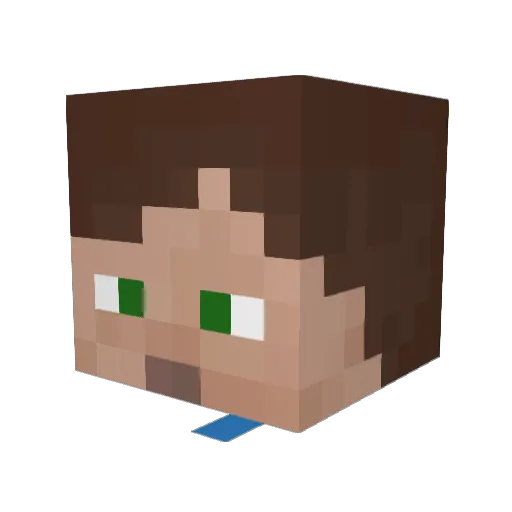 swagtism Minecraft avatar head, 3D render