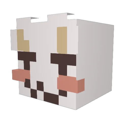 swagz__ Minecraft avatar head, 3D render