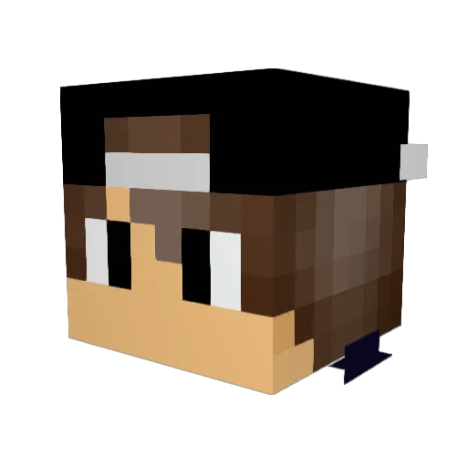 swaiben Minecraft avatar head, 3D render
